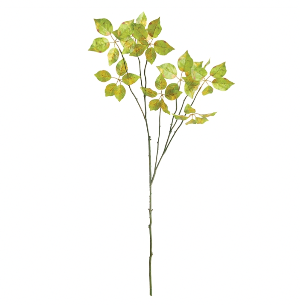 VARIEGATED LEAF BRANCH 43"
