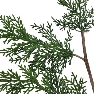 Real Touch Eastern Red Cedar Pick 18.5"