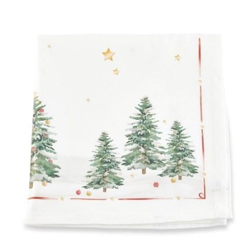 Napkin - Set of 2