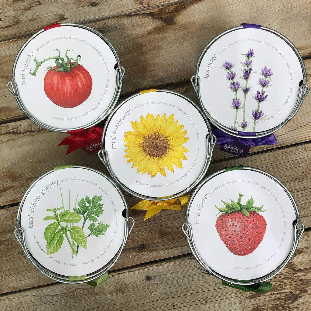 Garden in a Pail | Herbs | Kitchen | Spring gift