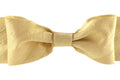 Dupioni Silk Ribbon - Champagne