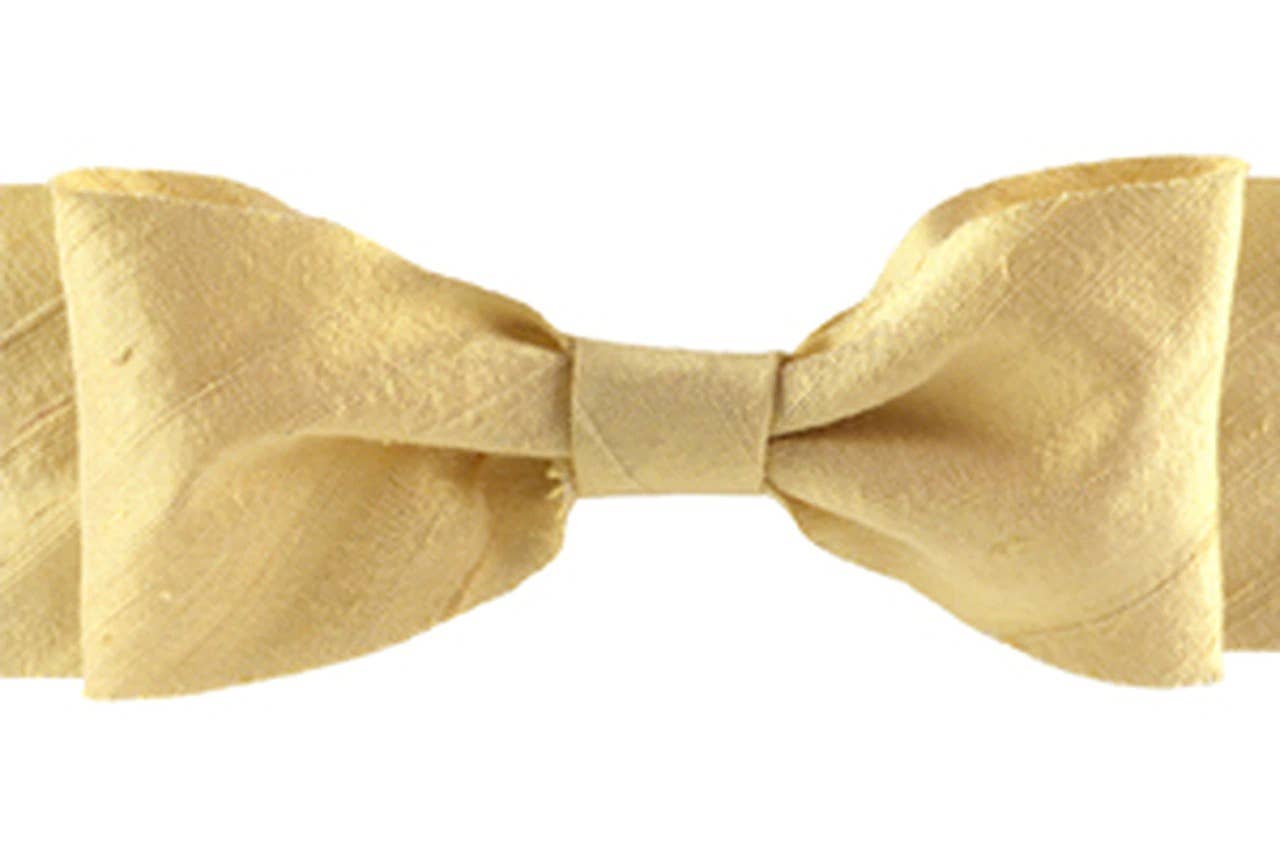 Dupioni Silk Ribbon - Champagne