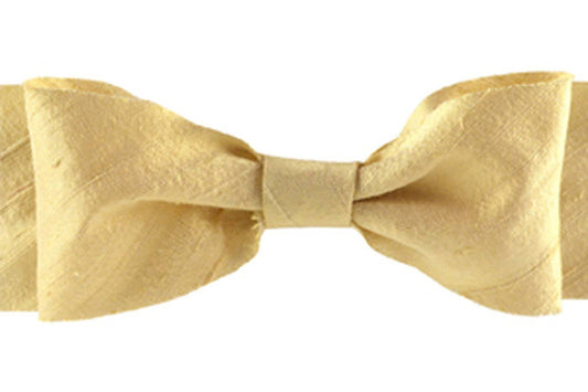 Dupioni Silk Ribbon - Champagne