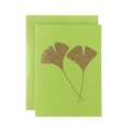 Lime Green Ginkgo Leaves Card