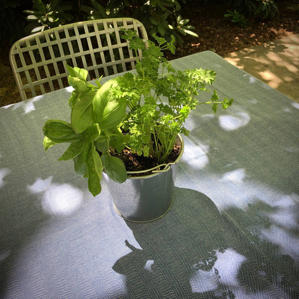 Garden in a Pail | Herbs | Kitchen | Spring gift