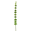 Bells of Ireland Branch - 33" Long