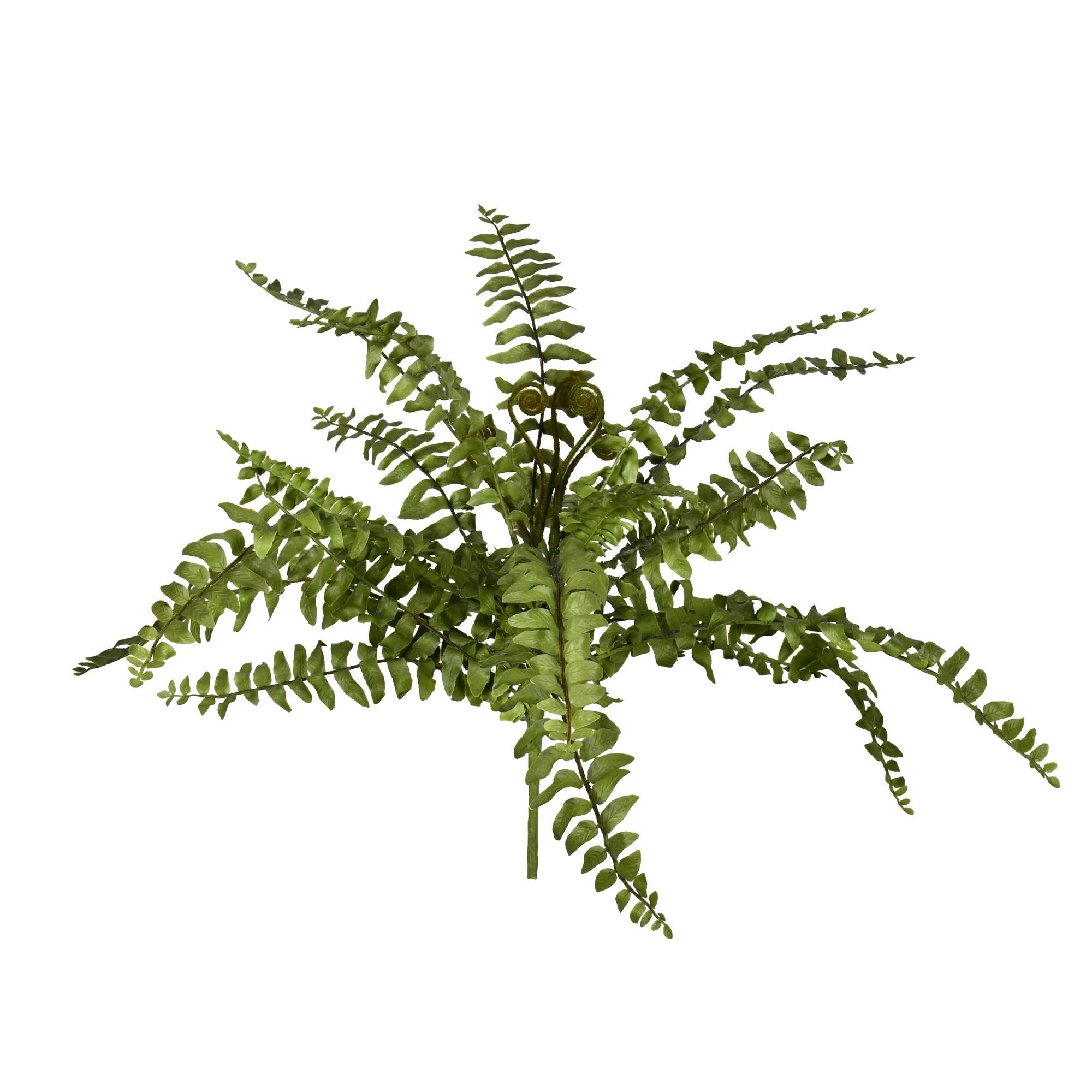 Vickerman 17" Artificial Green Boston Fern Bush.