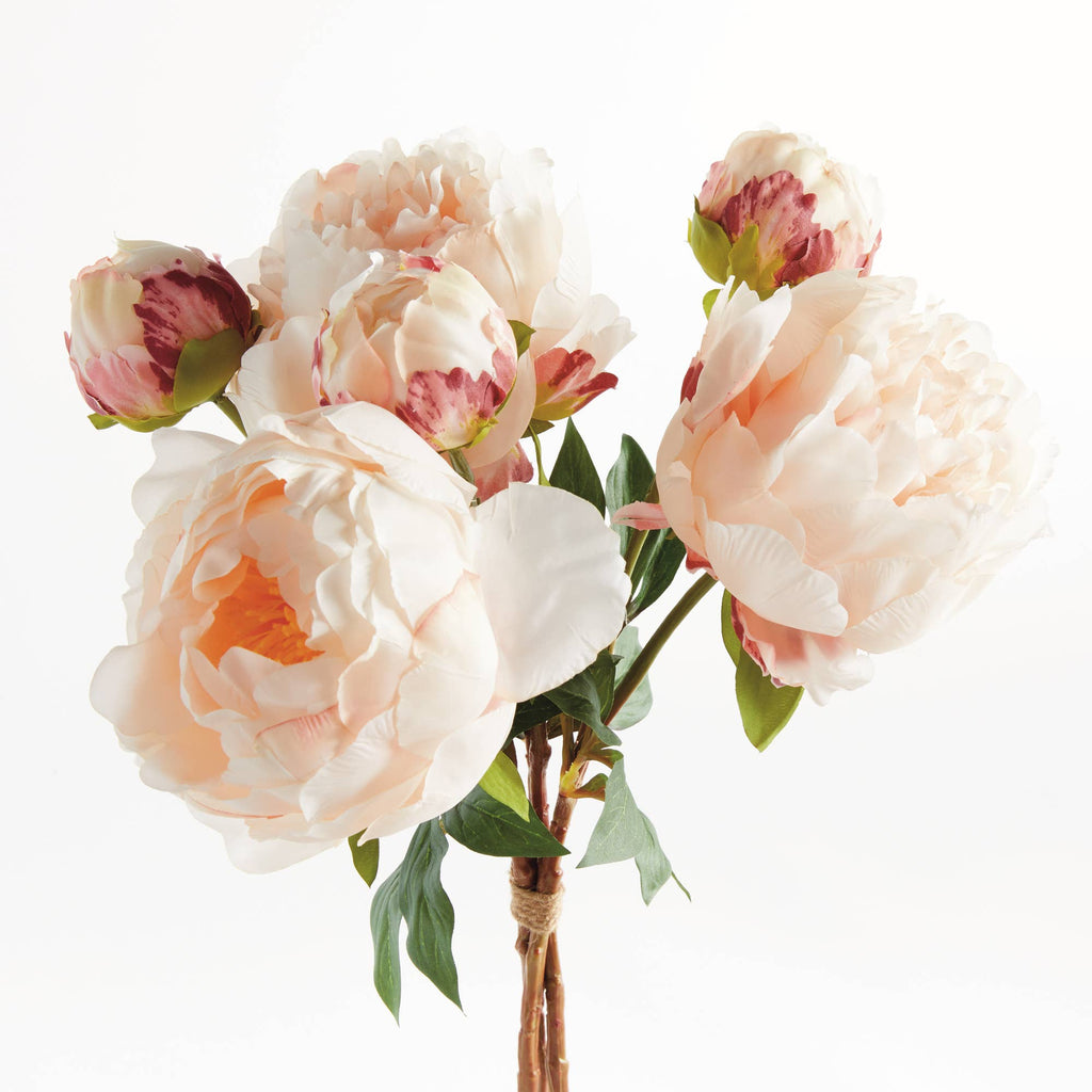 Peonies 21", Light Pink