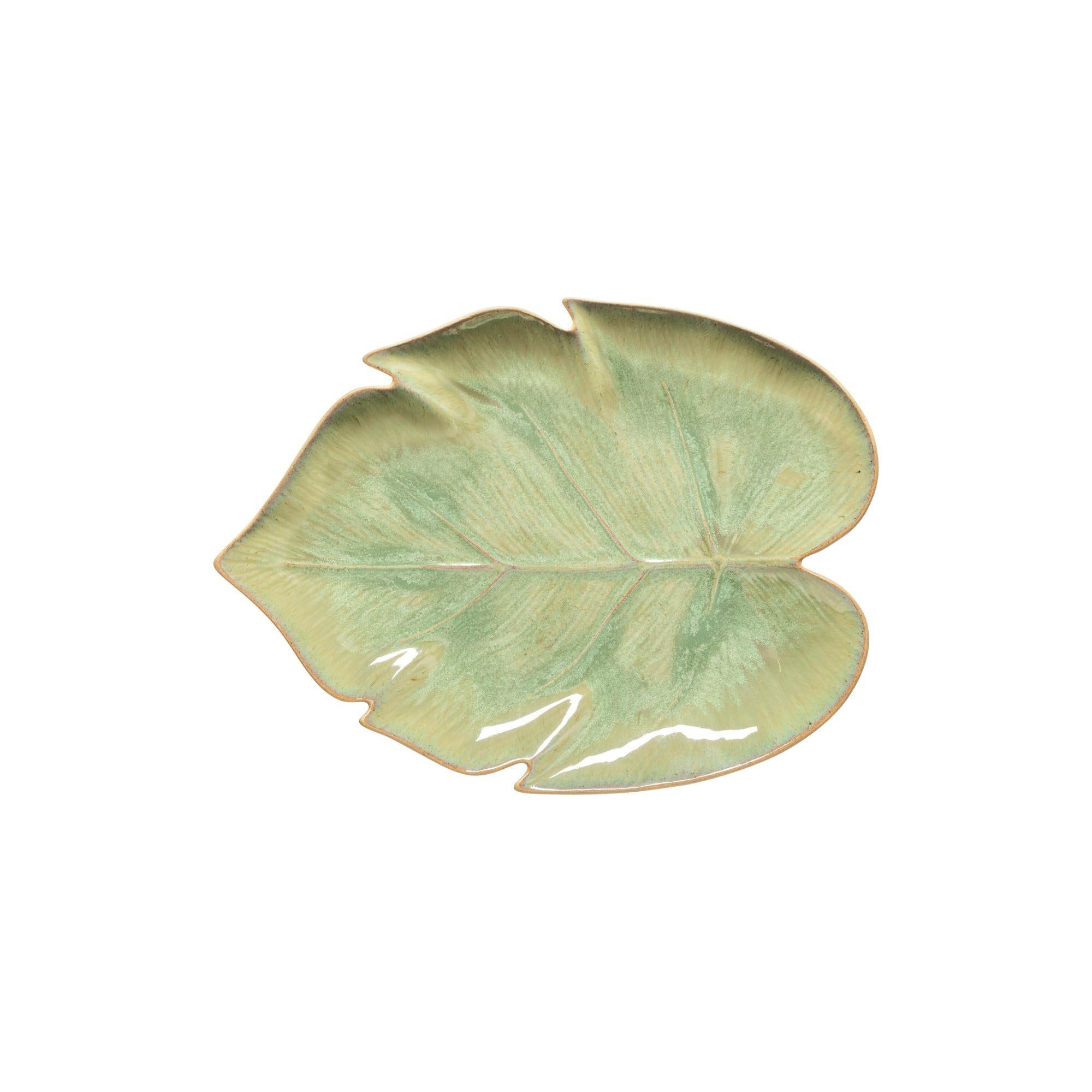 Monstera leaf