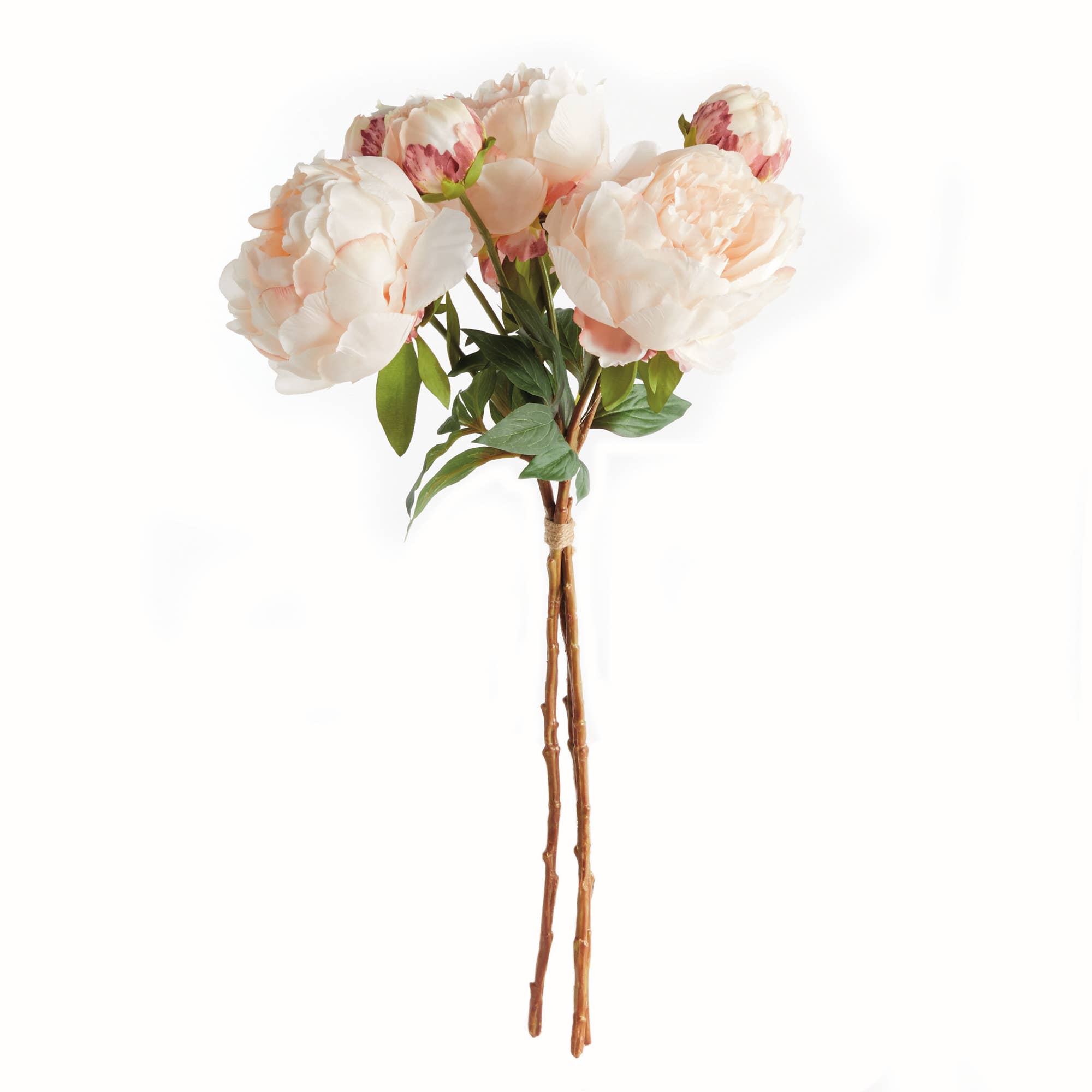 Peonies 21", Light Pink