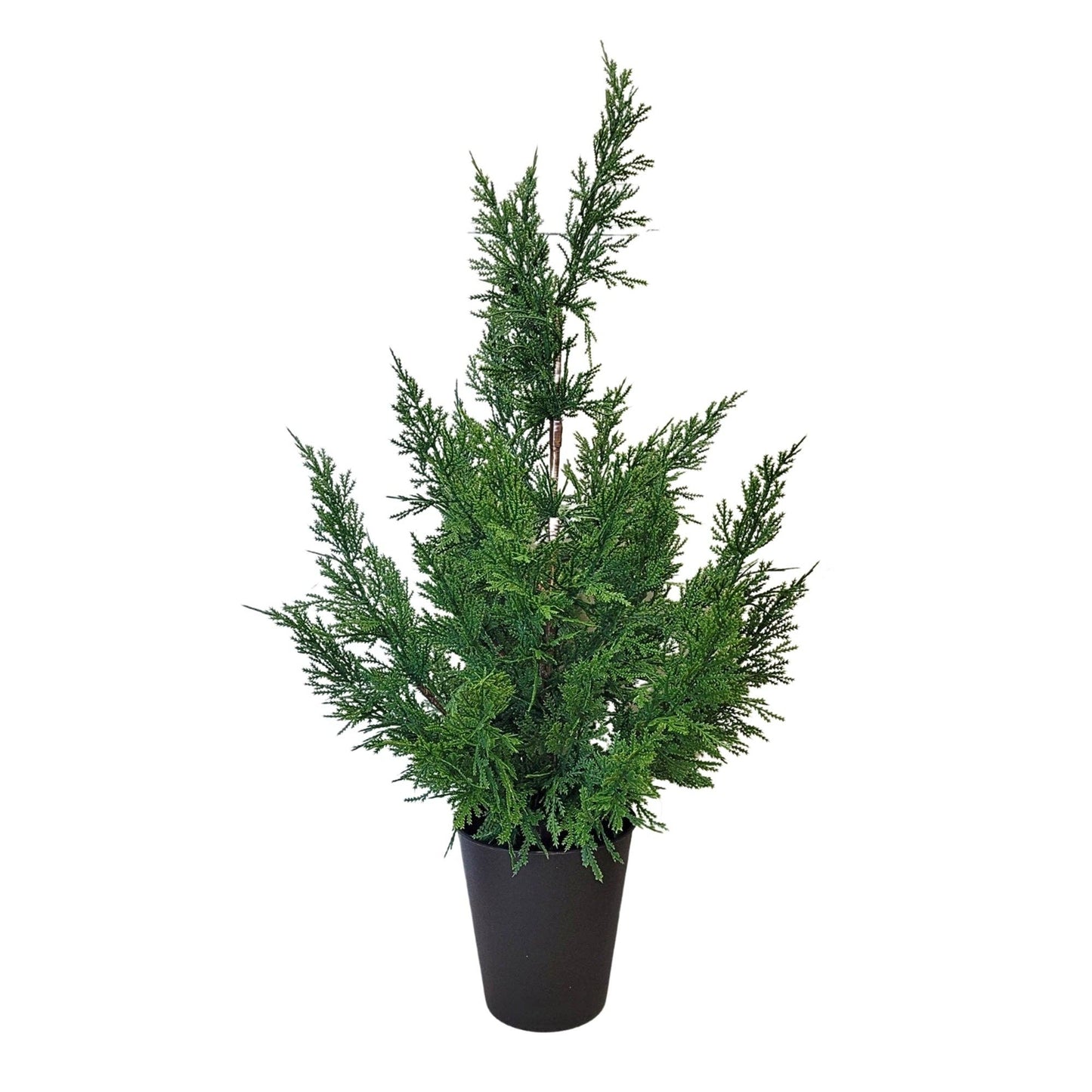 Fresh Touch Cedar Tree in Plastic Pot 29”