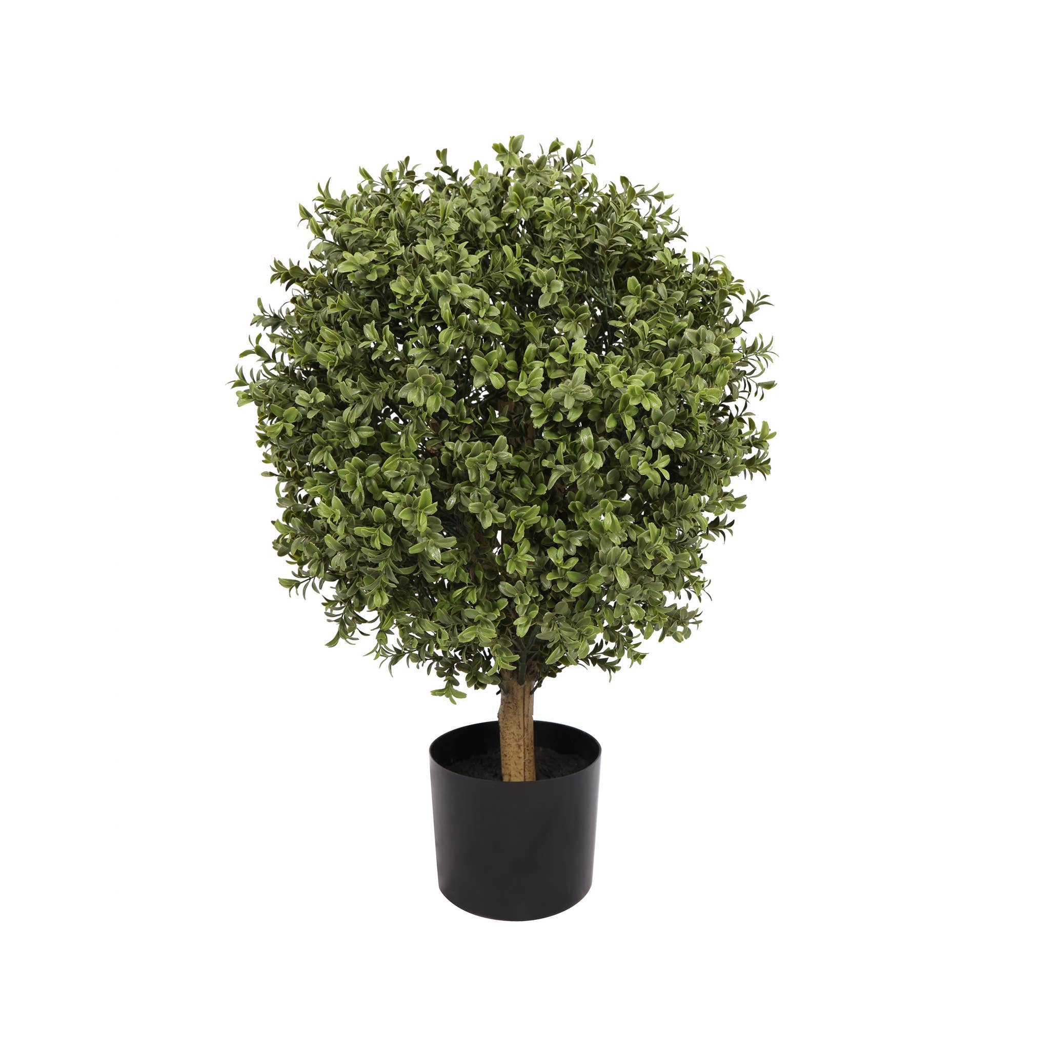 Boxwood Ball Topiary Everlux UV 30 Inch