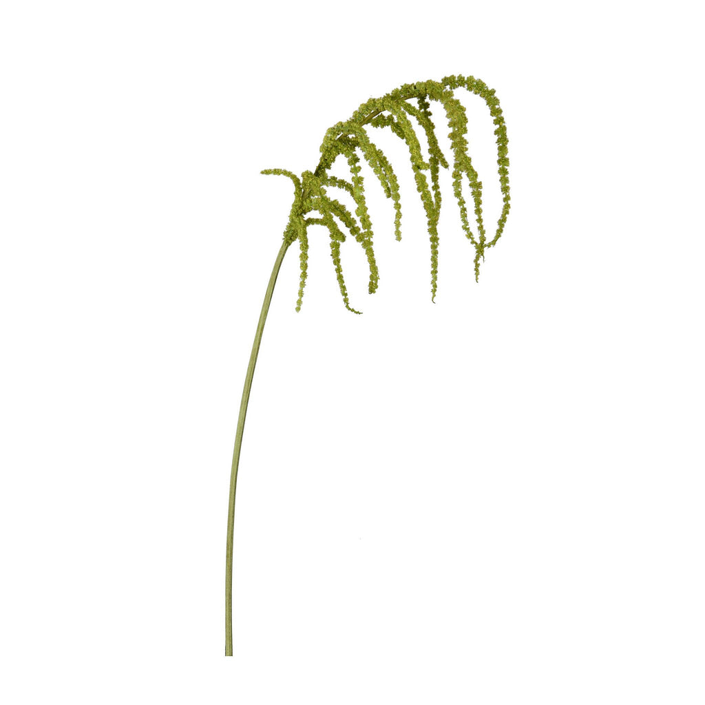 Amaranthus Hanging Spray Green 39 Inch