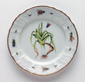 Leek Salad Plate