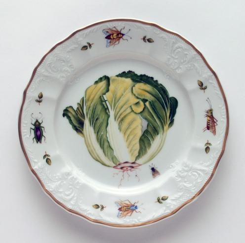Lettuce Salad Plate