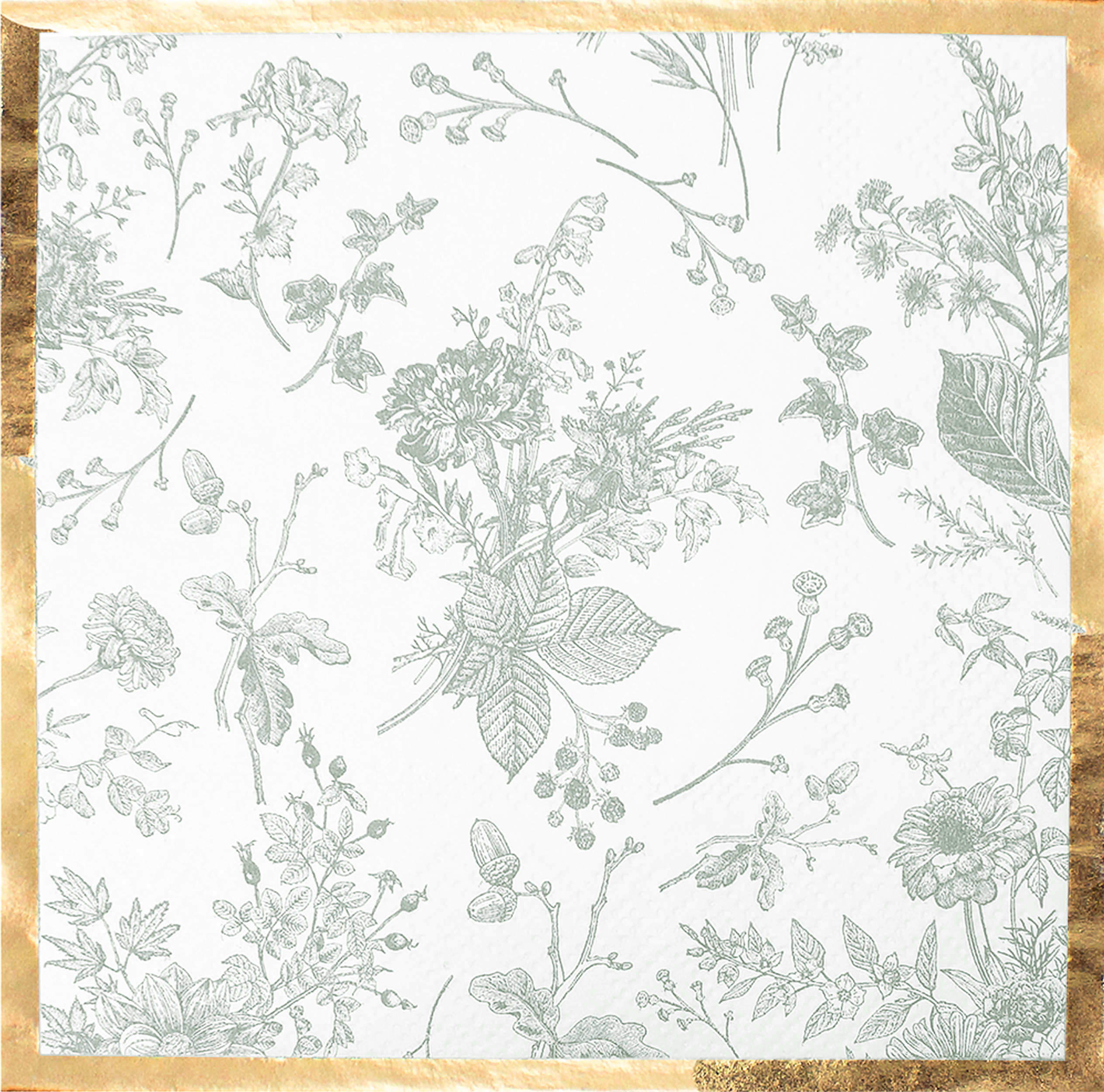 Timeless Sage Cocktail Napkins/20pk