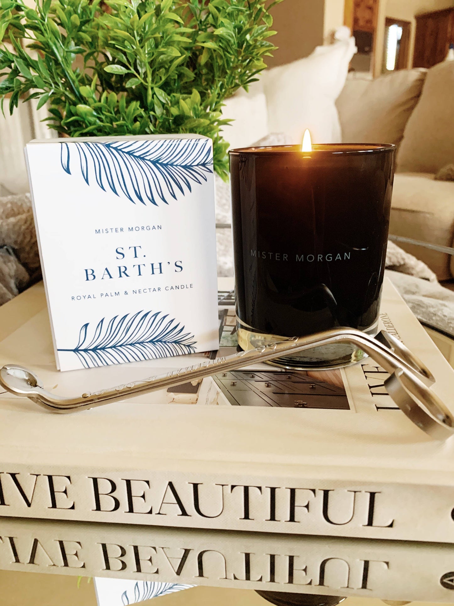 St. Barth's: Royal Palm and Nectar Candle