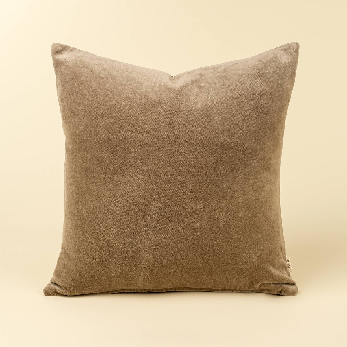 20x20 Vera Luxe Velvet Pillow, Birch