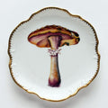 Mushroom #2 Hors D'Oeuvre Plate
