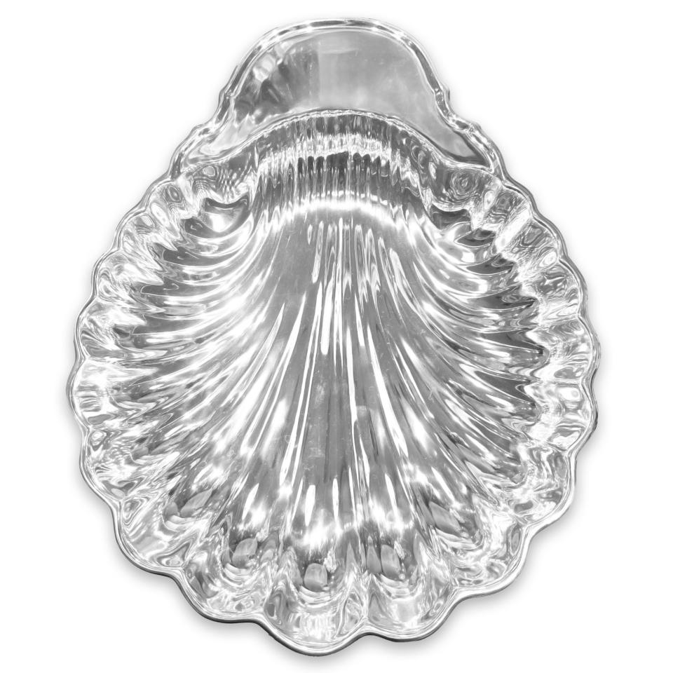 Medium Scallop Shell