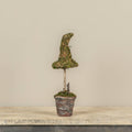 12" POTTED  MOSS WITCH'S HAT