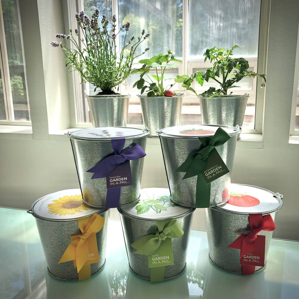 Garden in a Pail | Herbs | Kitchen | Spring gift