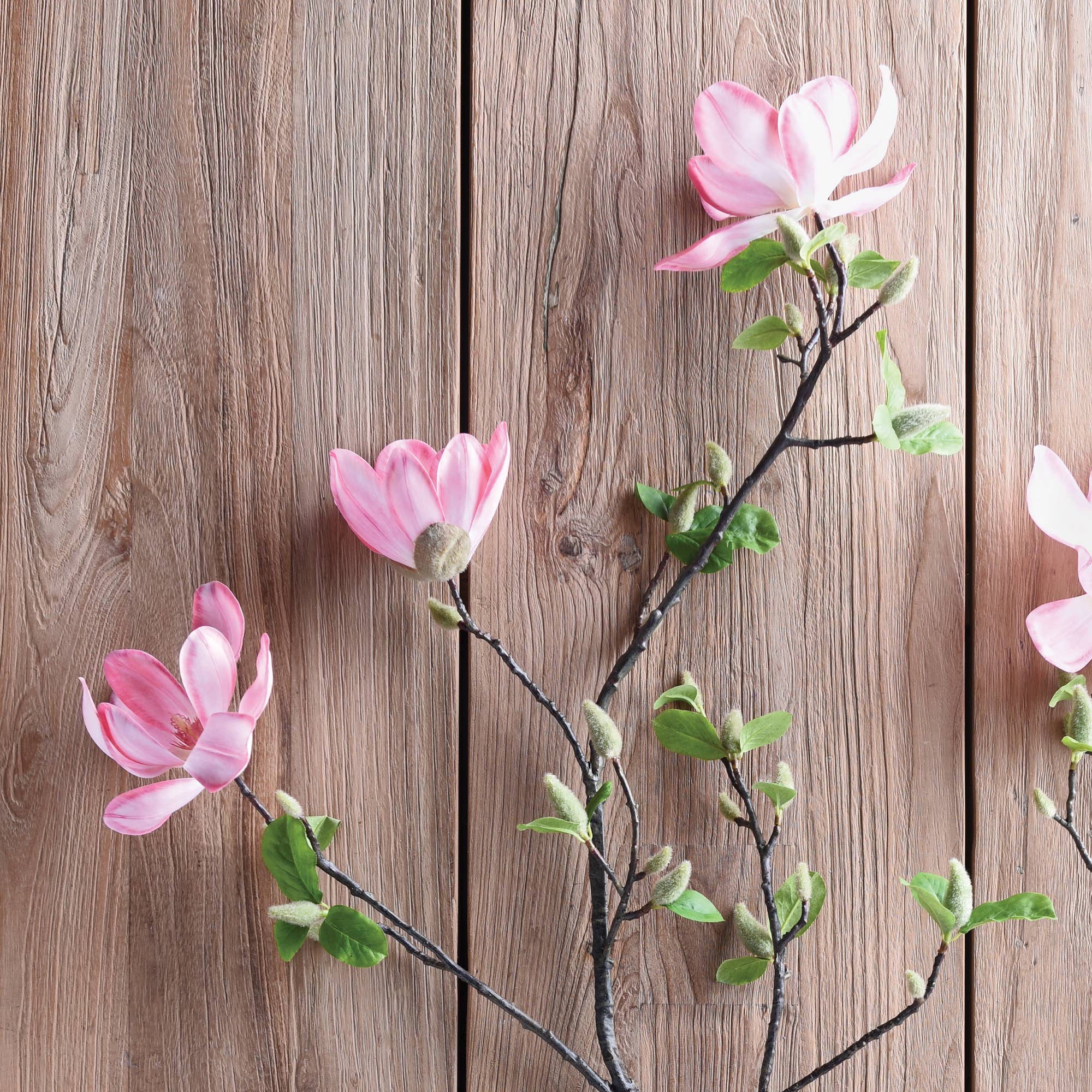 Japanese Magnolia Branch 54"