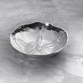 Sand Dollar Large Bowl