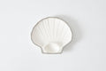 Small Shell