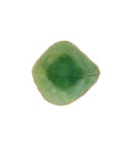 Dip Dish Leaf, Tomate