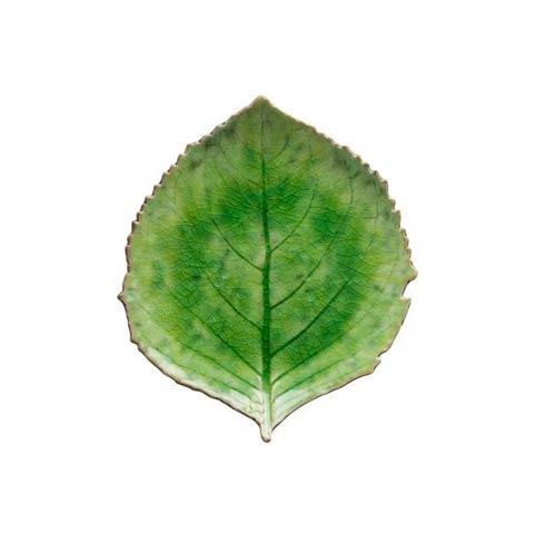 Hydrangea Leaf, Tomate