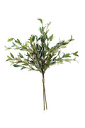 BOTANICA #2397
