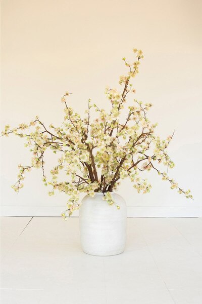 BOTANICA #2881