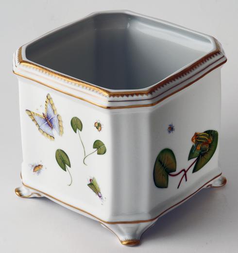 Frog Cachepot