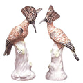 Exotic Birds, Pair