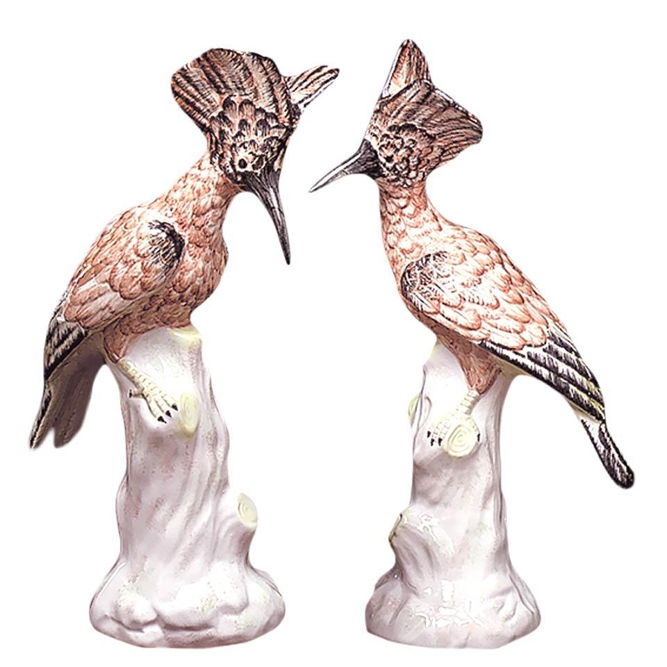 Exotic Birds, Pair