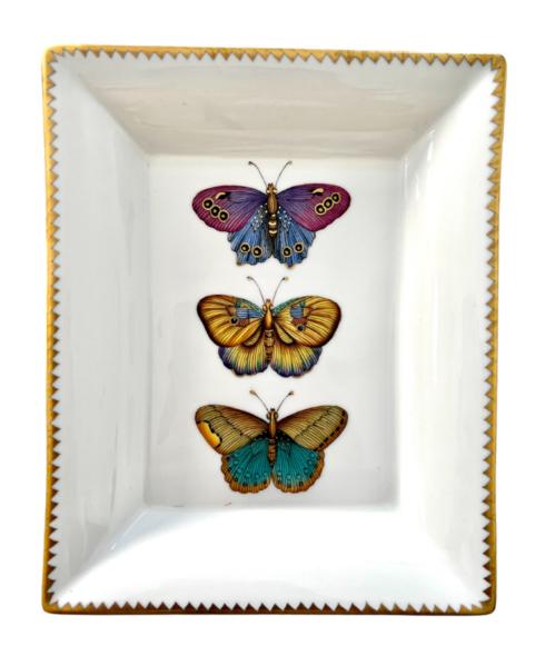 Exotic Butterflies Tray