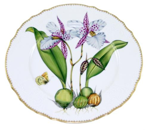 Dinner Plate #2