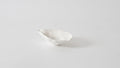 Small Oyster Bowl
