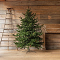 Grand Classic 7.5' Christmas Tree, 1373 Tips, 800 Lights