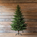 Olympia Fir 7.5 Ft Tree