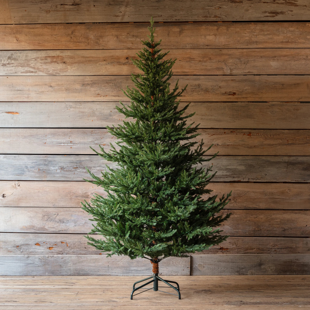 Olympia Fir 7.5 Ft Tree