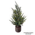 Potted Southern Fir Tree 36"