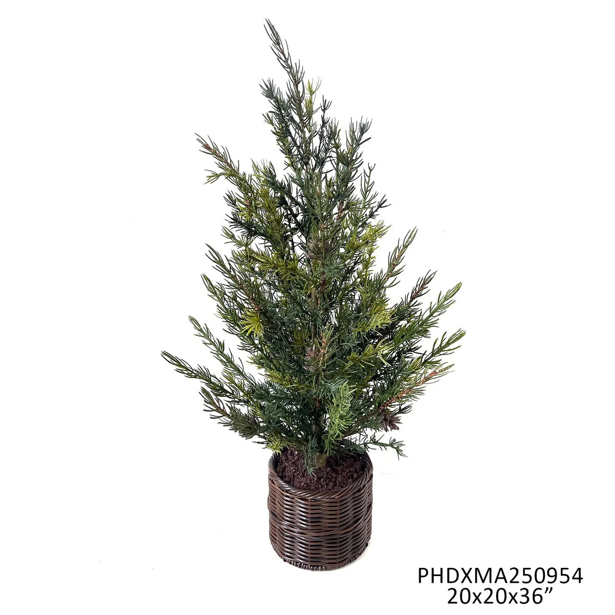 Potted Southern Fir Tree 36"