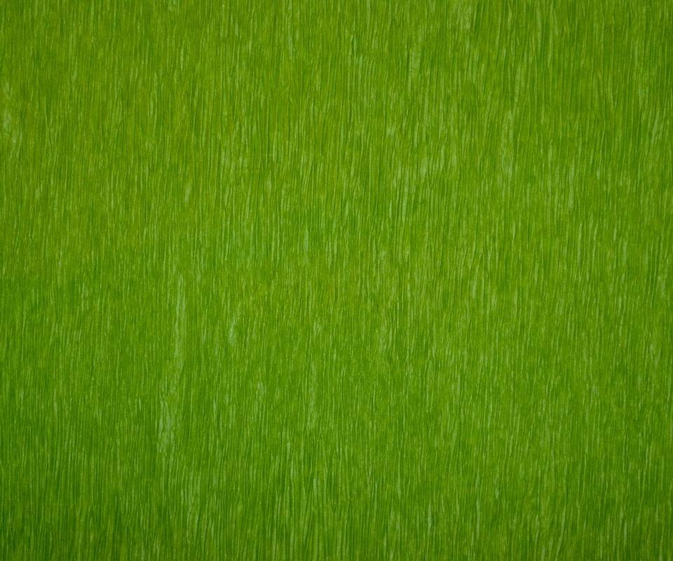 Bistro Green - Set of 12