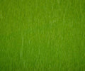 Bistro Green - Set of 12