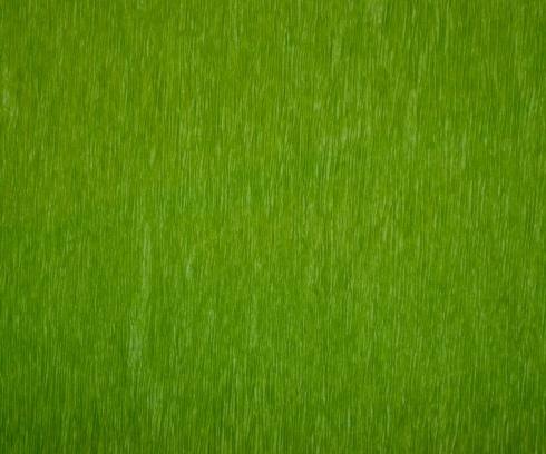 Bistro Green - Set of 12