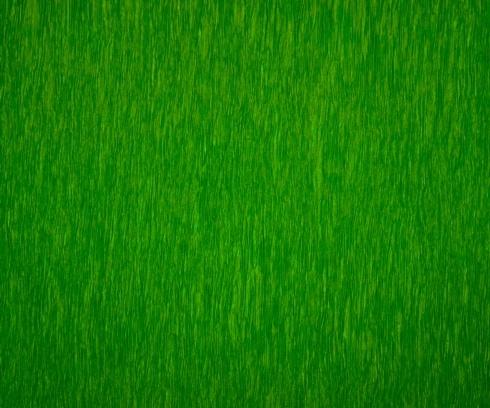 Lime Green - Set of 12