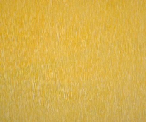 Marigold - Set of 12