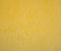 Marigold - Set of 12